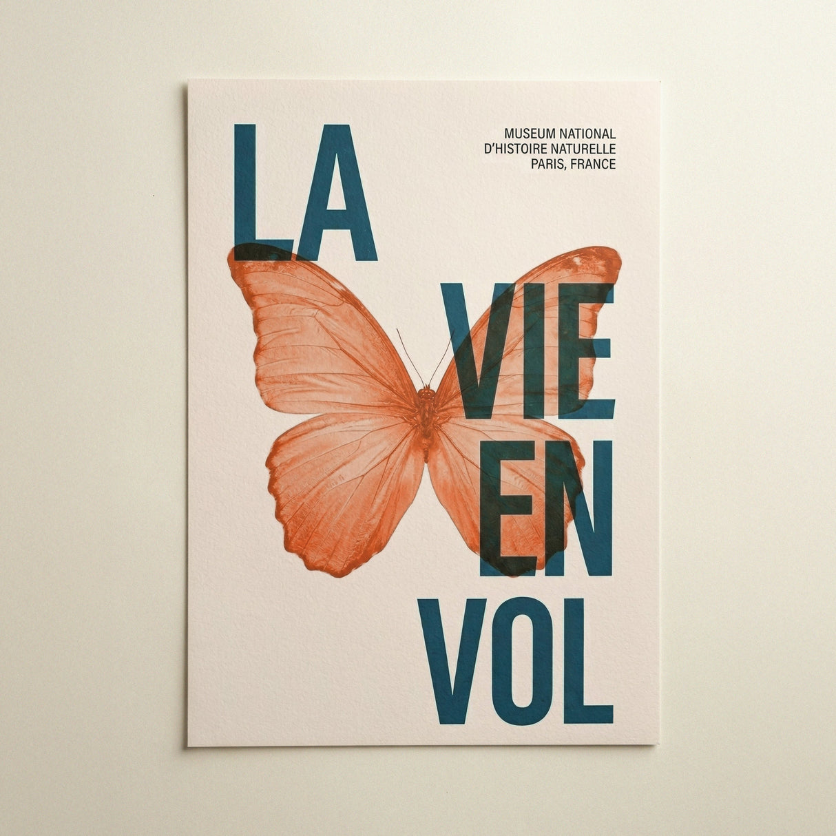 La Vie En Vol