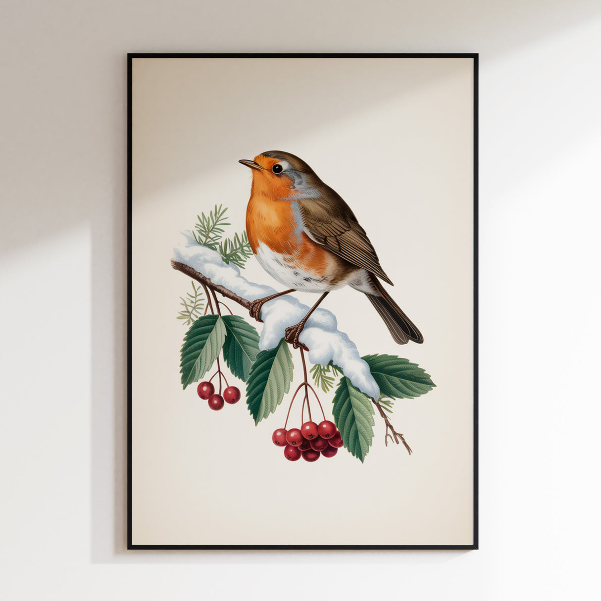 Mr Robin