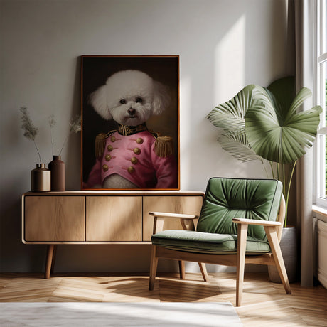 Bert The Bichon Frise