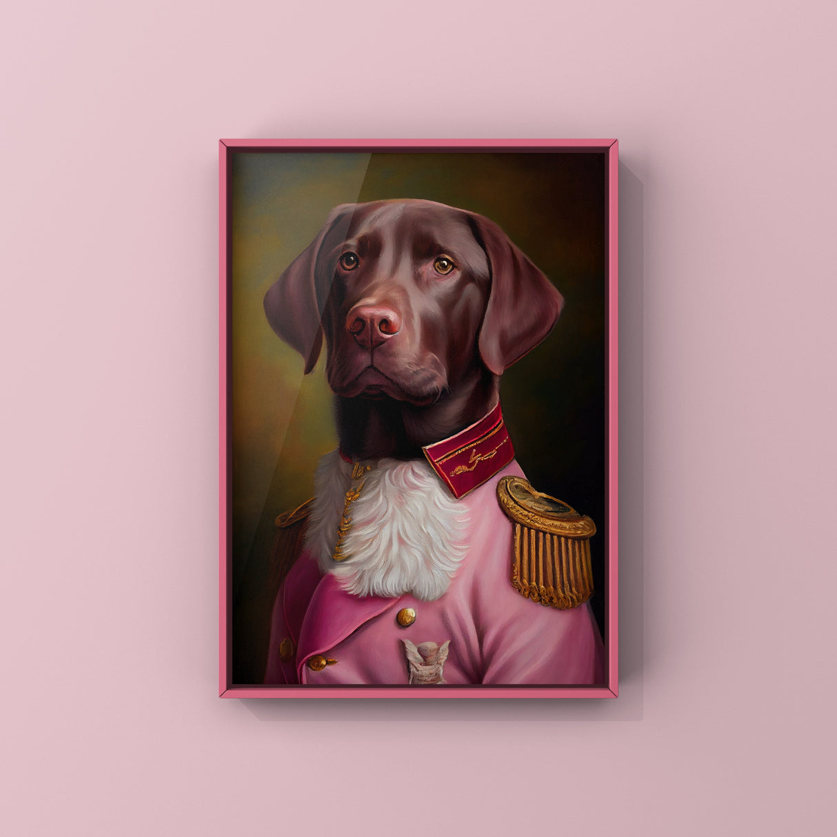 Hendrix The Chocolate Labrador - The Pup Parade