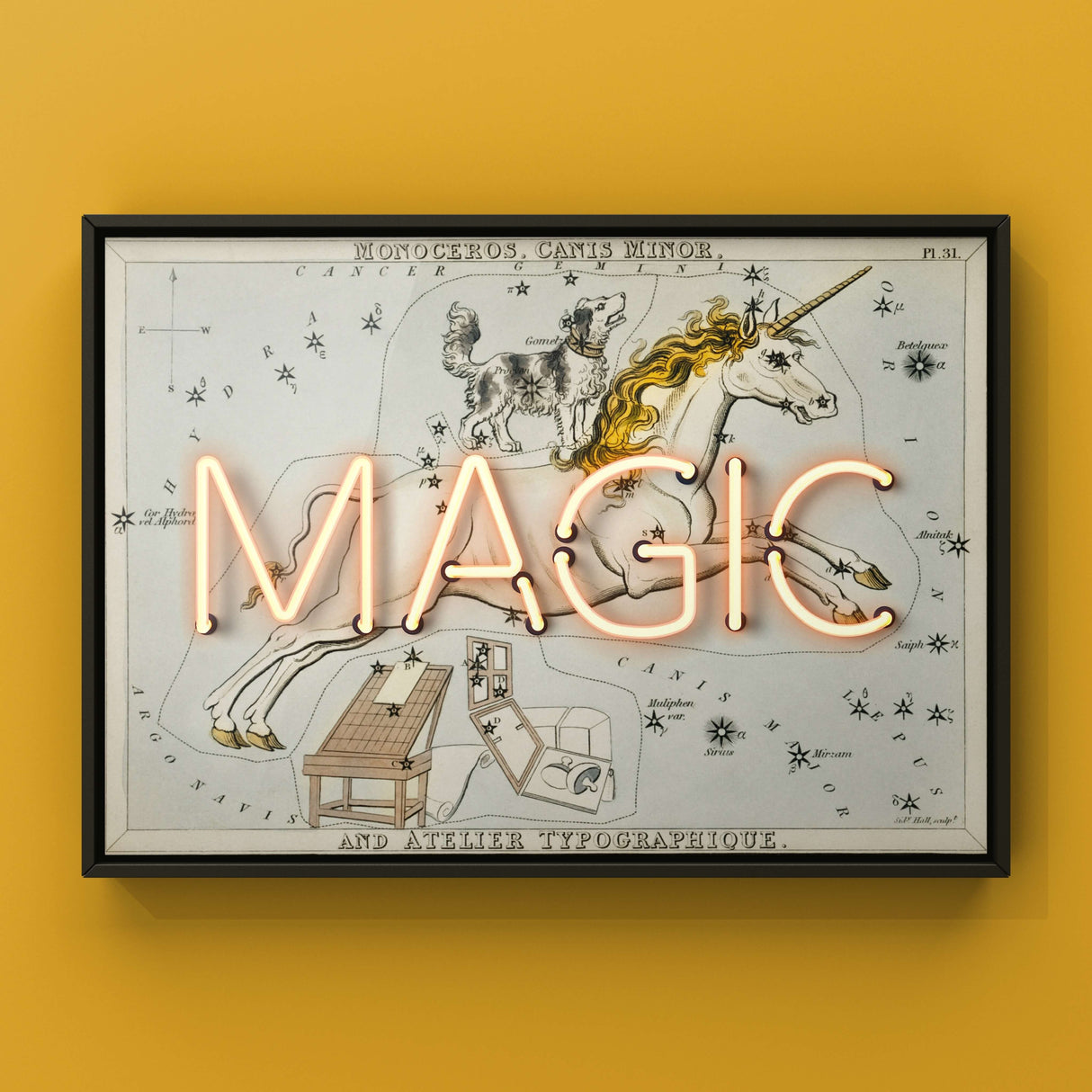 Neon Magic Punk Haus