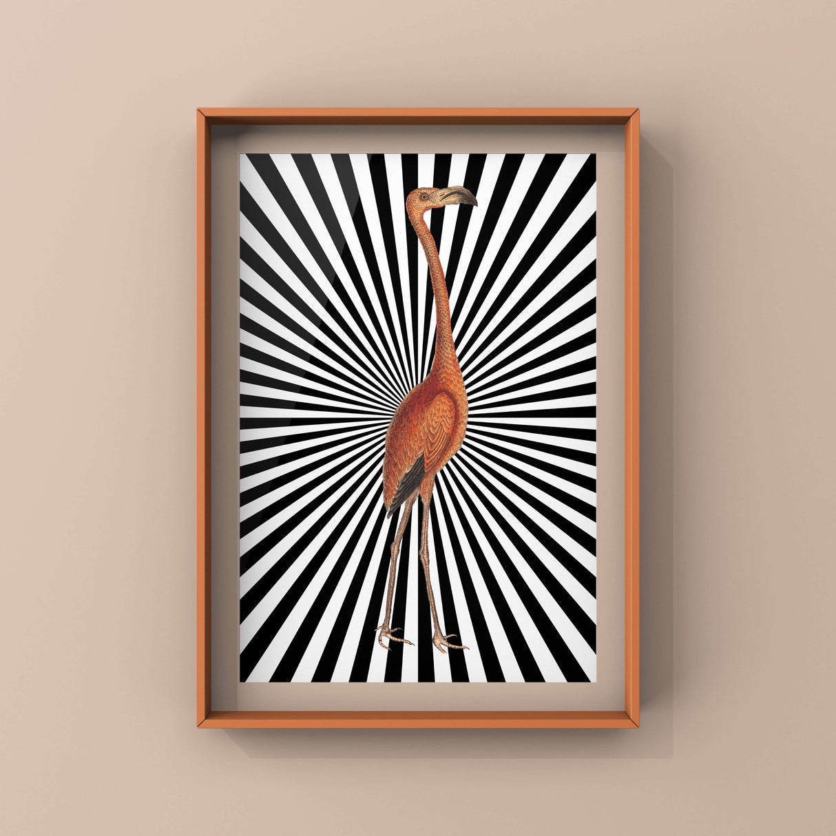 Flamingo Zap Punk Haus