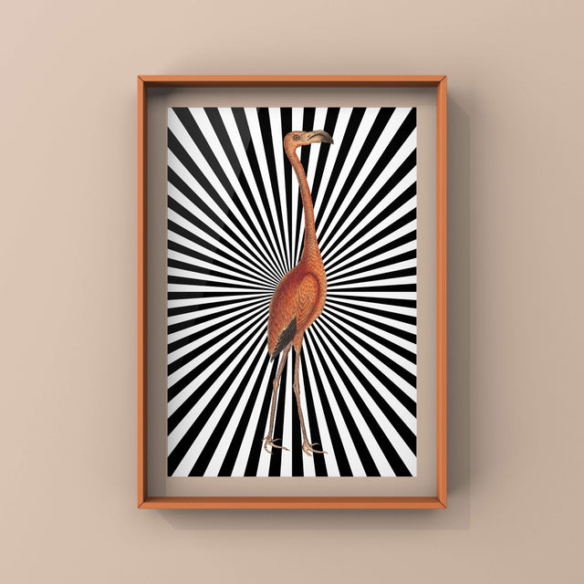 Flamingo Zap Punk Haus