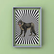 Monkey Zap Punk Haus