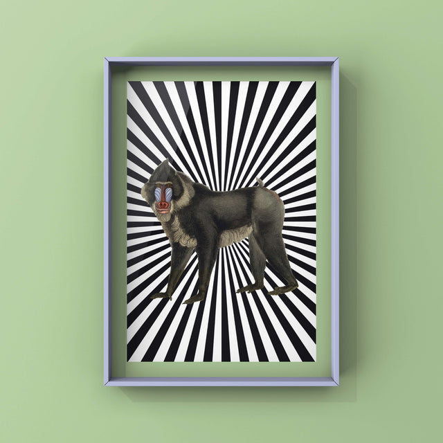 Monkey Zap Punk Haus