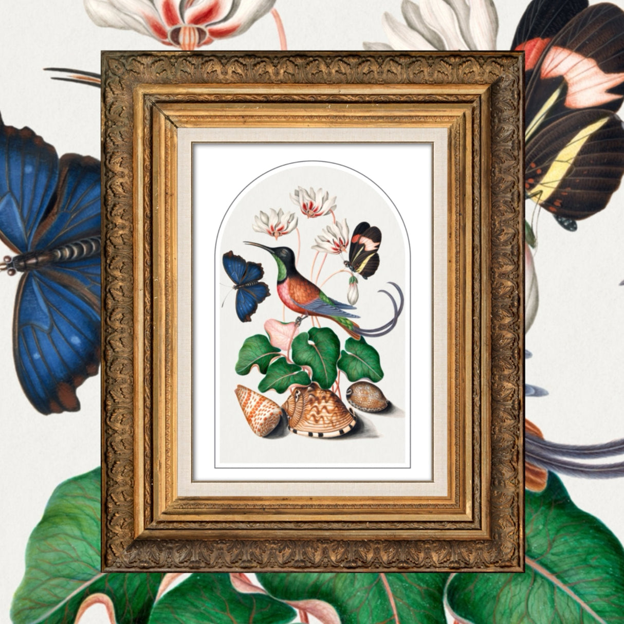 Nature’s Window Punk Haus