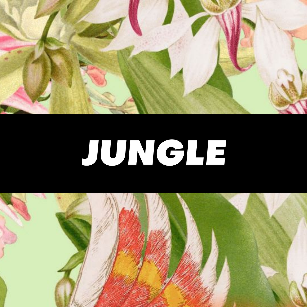 Jungle