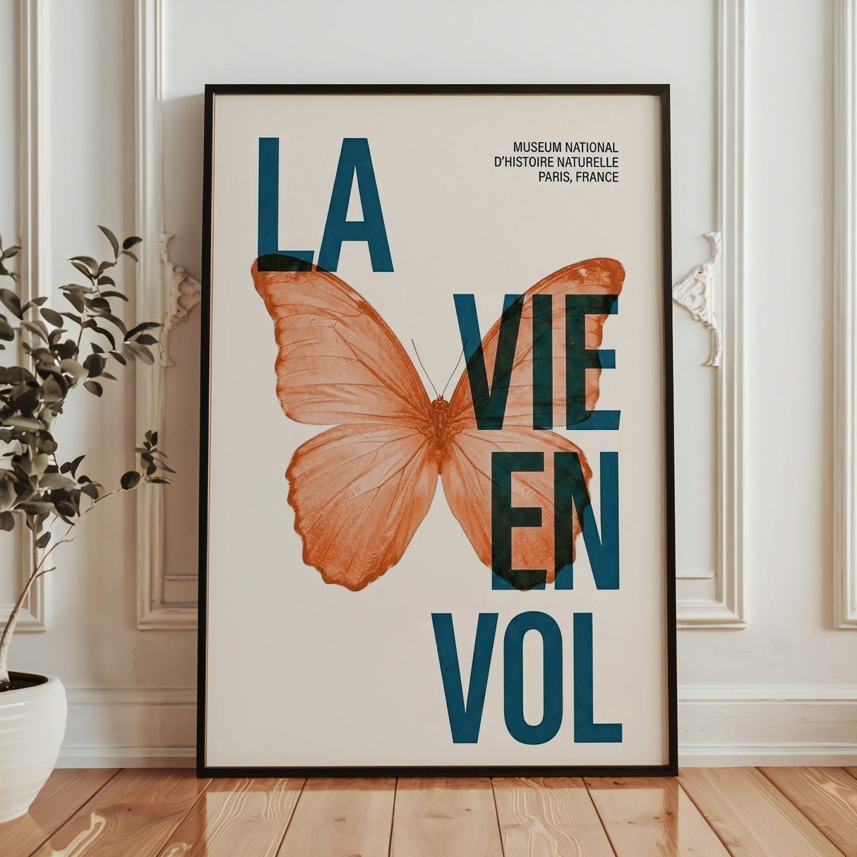 La Vie En Vol