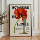Botanique