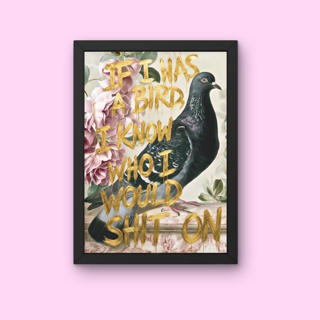 A bird would know