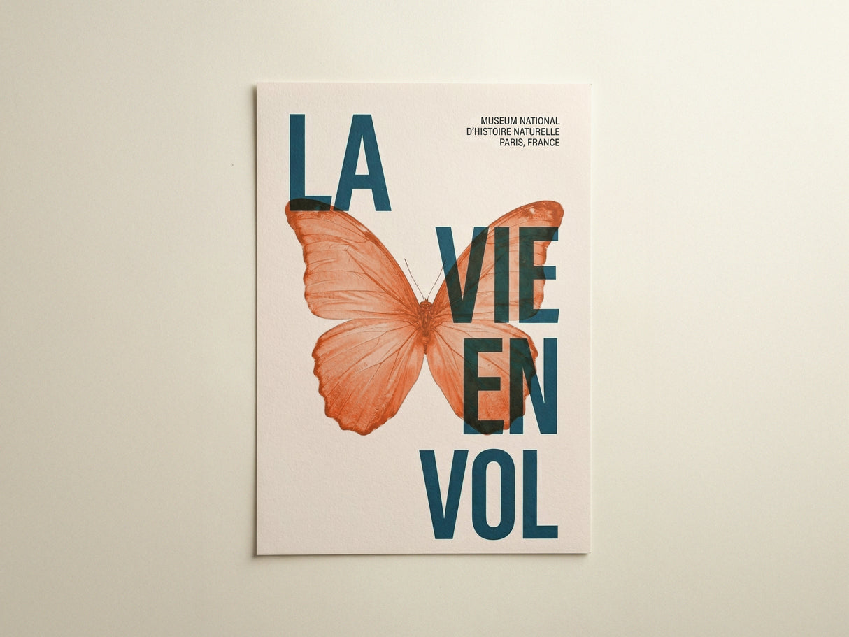 La Vie En Vol