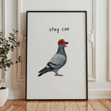 Stay Coo