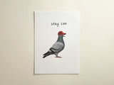 Stay Coo