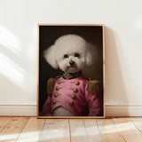 Bert The Bichon Frise