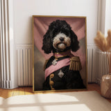 Del The Bernedoodle - The Pup Parade The Berbedoodle