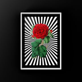 Rose Zapped Punk Haus