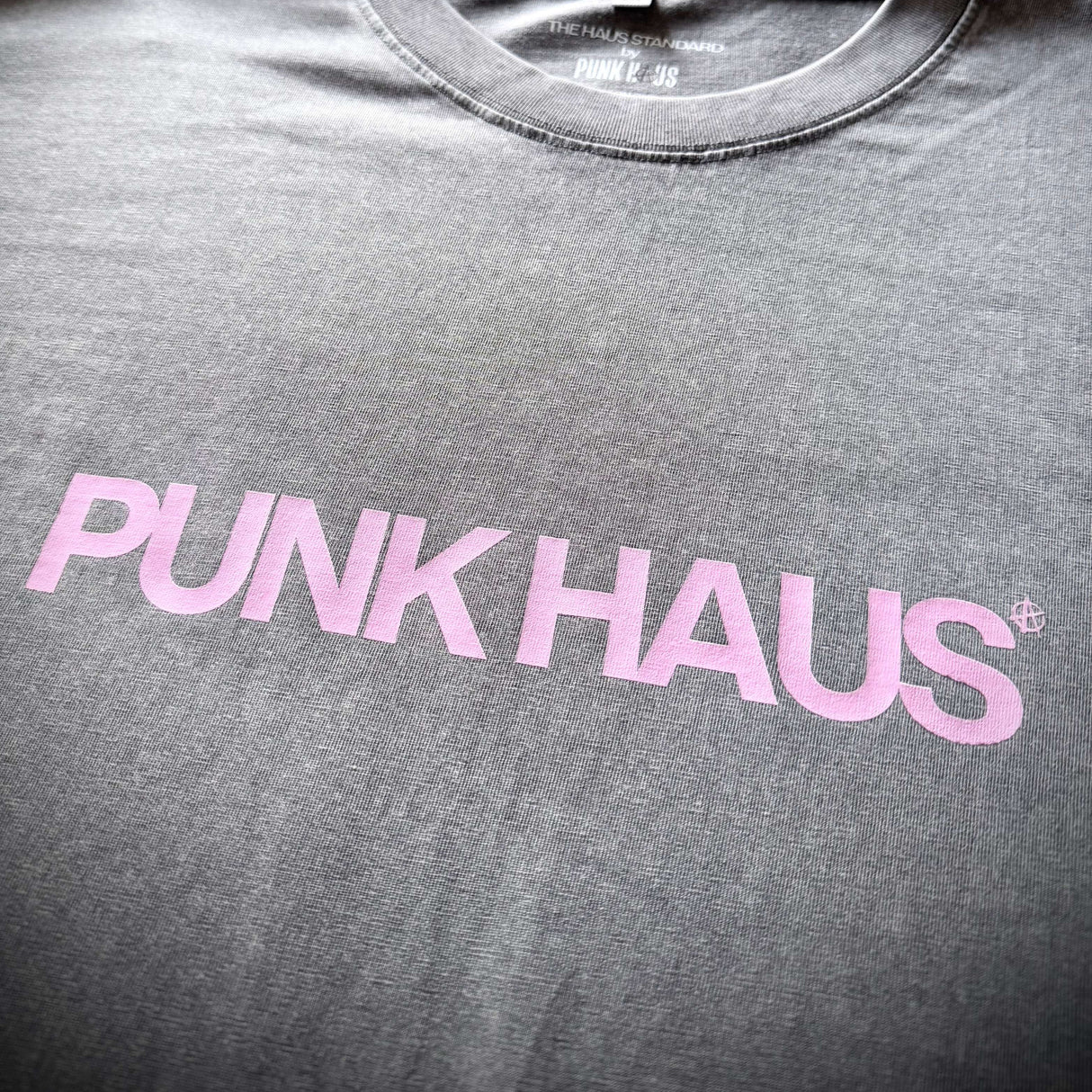 PUNK HAUS® Ash Cloud Tee – The Haus Standard