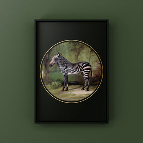 Rebel Zebra Punk Haus